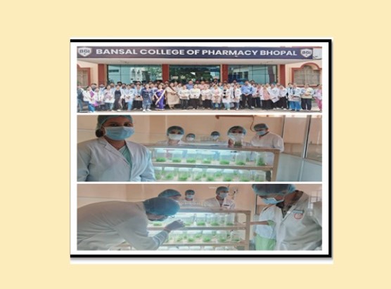  An Educational Plant Tissue Culture Lab Visit in Bansal College of Pharmacy on 22/06/2024